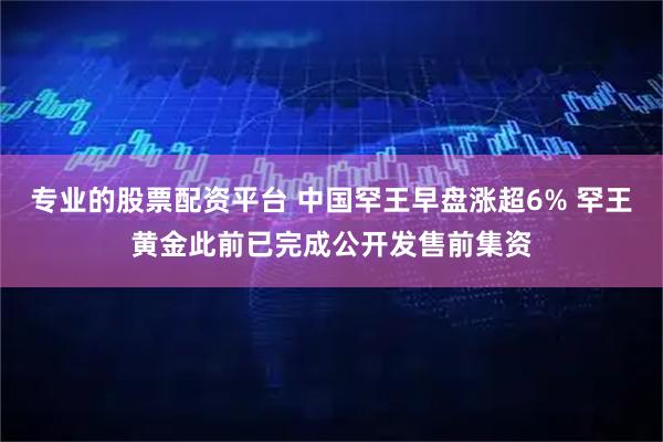 专业的股票配资平台 中国罕王早盘涨超6% 罕王黄金此前已完成公开发售前集资